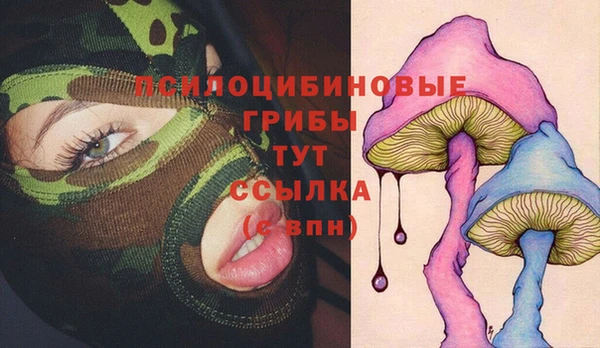 каннабис Аркадак