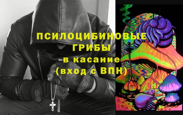 твердый Арсеньев