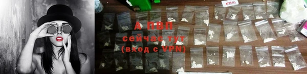 твердый Арсеньев