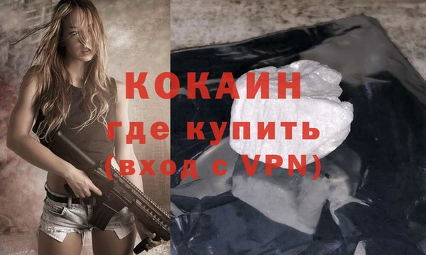 твердый Арсеньев