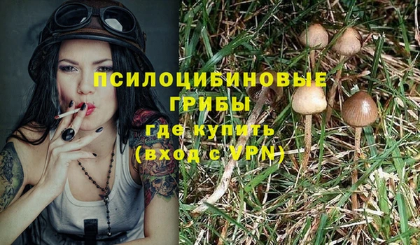 твердый Арсеньев